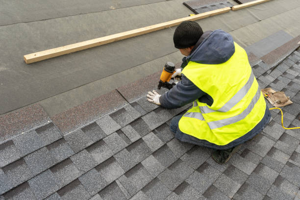 Best Roof Maintenance Services  in Palo, IA
