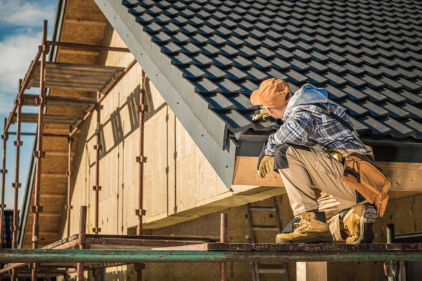 Best Sealant for Roof  in Palo, IA